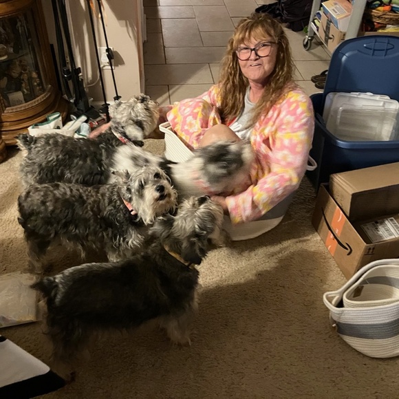 Meet your Posher, MaryJo - Picture 9 of 16